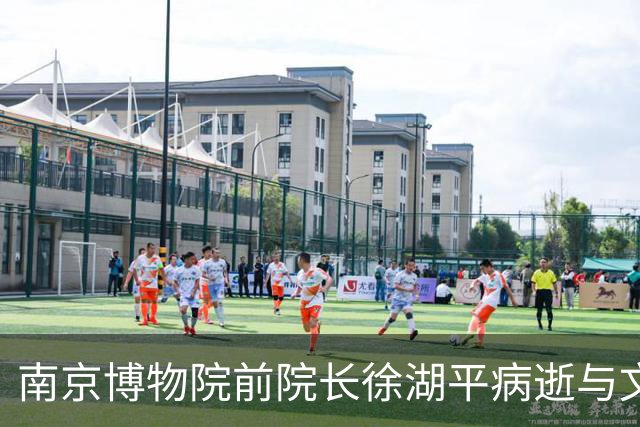 南京博物院前院长徐湖平病逝与文物管理的责任探讨